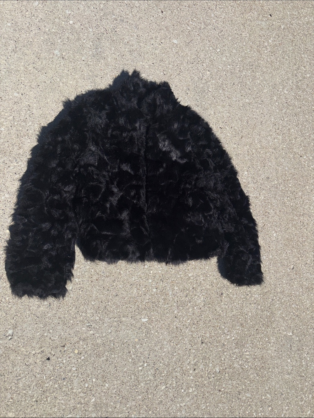 Black Faux Fur Cropped Jacket